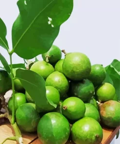 Spanish Lime Diamond Painting