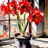 Amaryllis Art Diamond Painting