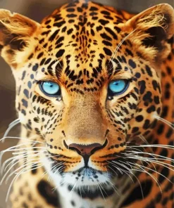 Blue Eyes Leopard Diamond Painting