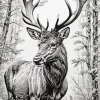 Elk Black And White Art Diamond Painting