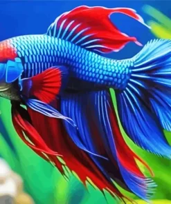 Fighter Fish Art Diamond Painting