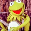 Kermit Playing Banjo Diamond Painting