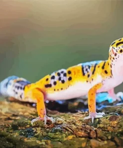 Leopard Gecko Diamond Painting
