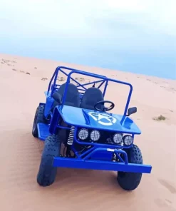 Blue Buggy Diamond Painting