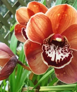 Brown Flowers Diamond Painting