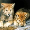 Brown Wolves Diamond Painting