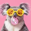 Baby Koala Bubble Gum Diamond Painting