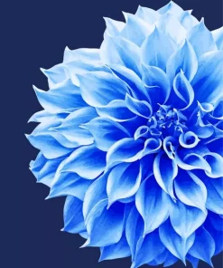Blue Dahlia Flower Diamond Painting