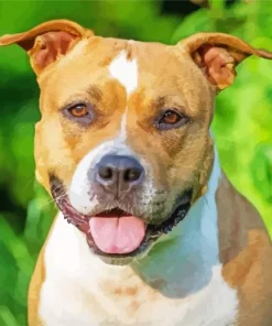 Brown Amstaff Dog Diamond Painting