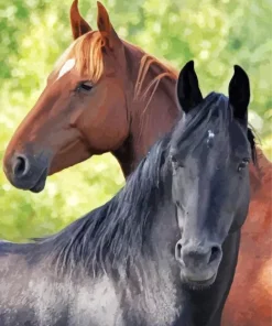 Brown And Black Horses Diamond Painting