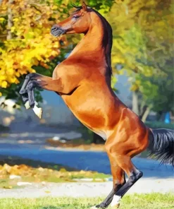 Brown Arabian Horse Diamond Painting
