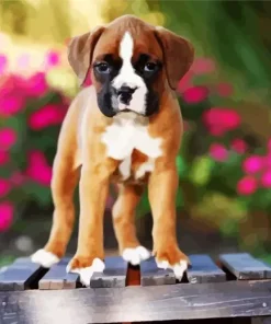Boxer Puppy Diamond Painting