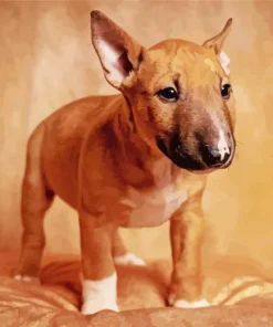 Brown Bull Terrier Puppy Diamond Painting