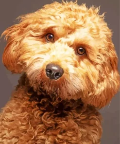 Brown Curly Poodle Diamond Painting