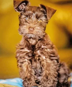 Brown Mini Schnauzer Diamond Painting