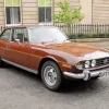 Brown Triumph Stag Diamond Painting