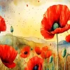 Flowers Poppy Diamond Painting