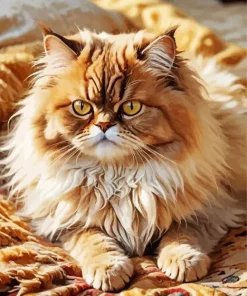 Fluffiest Persian Cat Diamond Painting