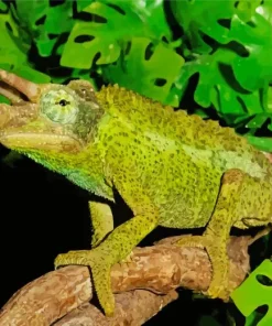 Jacksons Chameleon Diamond Painting