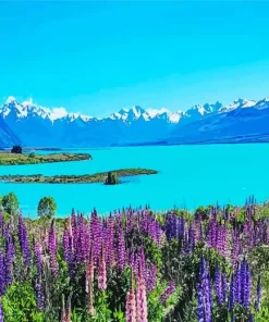 Lake Tekapo New Zealand Diamond Painting