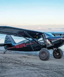 Black Bush Plane Diamond Painting