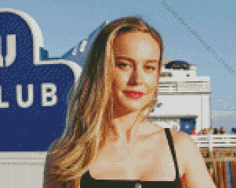 Brie Larson american actress Diamond Paints