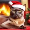 Christmas Burmese Cat Diamond Painting