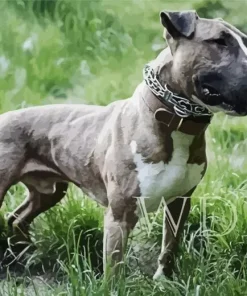 Gray Bull Terrier Dog Diamond Painting