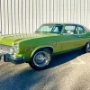 Green 1974 Buick Skylark Diamond Painting
