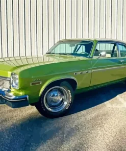 Green 1974 Buick Skylark Diamond Painting