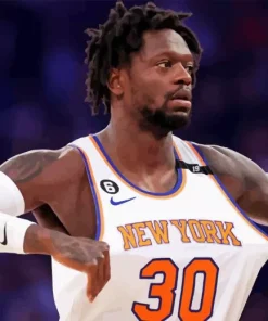 Julius Randle Basketball Player Diamond Painting