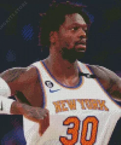 Julius Randle Basketball Player Diamond Painting