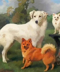 Snowball Marco And Janey Burton Barber Diamond Painting