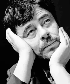 Black And White Benicio Del Toro Diamond Painting