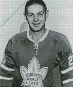 Black And White Terry Sawchuk Diamond Painting