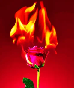 Burning Flower Diamond Painting