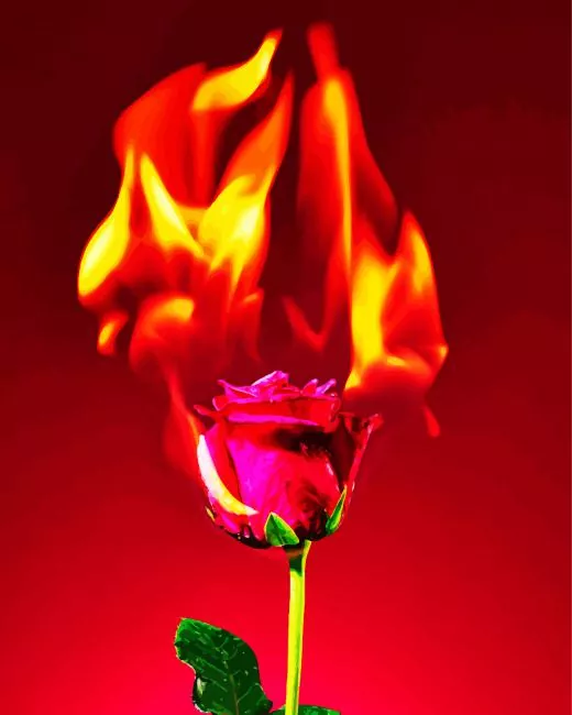 burning flower Diamond Paintings Burning Flower Diamond Painting