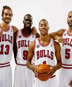 Chicago Bulls Players Diamond Painting