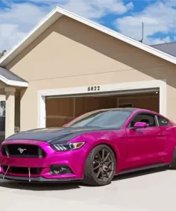 Fuchsia Car Diamond Painting