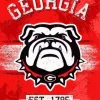 Georgia Bulldogs Logo Diamond Painting