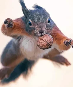 Jumping Squirrel Diamond Painting