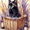 Lavender And Black Kitty Diamond Painting