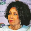 Lindiwe Sisulu Diamond Painting