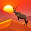 Oryx Bull In Desert Diamond Painting