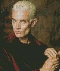 Spike Buffy Movie Diamond Painting