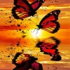 Butterflies At Sunset Diamond Painting