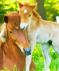 Baby And Mama Horse Diamond Painting