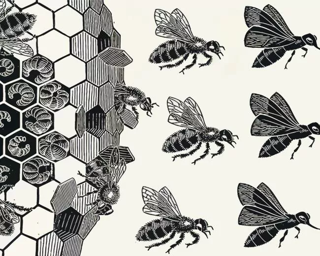 bees by Maurits Cornelis Escher Diamond Paintings Bees By Maurits Cornelis Escher Diamond Painting