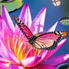 Butterfly On Pink Flower Diamond Painting