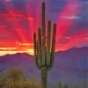 Cactus Sunrise Diamond Painting